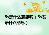 5s是什么意思呢（5s表示什么意思）