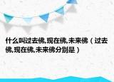 什么叫過(guò)去佛,現(xiàn)在佛,未來(lái)佛（過(guò)去佛,現(xiàn)在佛,未來(lái)佛分別是）