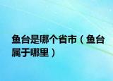 魚臺(tái)是哪個(gè)省市（魚臺(tái)屬于哪里）