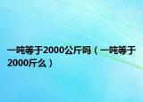 一噸等于2000公斤嗎（一噸等于2000斤么）