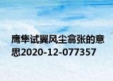 鷹隼試翼風塵翕張的意思2020-12-077357