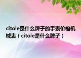 citole是什么牌子的手表價(jià)格機(jī)械表（citole是什么牌子）