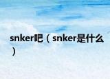 snker吧（snker是什么）