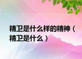 精衛(wèi)是什么樣的精神（精衛(wèi)是什么）