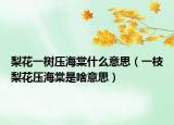 梨花一樹壓海棠什么意思（一枝梨花壓海棠是啥意思）