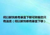 何以解憂唯有暴富下聯(lián)可釋我愁只有溫柔（何以解憂唯有暴富下聯(lián)）