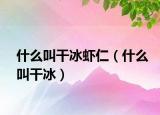 什么叫干冰蝦仁（什么叫干冰）