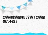 野肖和家肖是哪幾個(gè)肖（野肖是哪幾個(gè)肖）