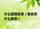 什么是融合菜（融合菜什么意思）