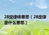 28定律啥意思（28定律是什么意思）