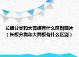 長(zhǎng)板分類和大舞板有什么區(qū)別圖片（長(zhǎng)板分類和大舞板有什么區(qū)別）