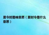 夏令時(shí)是啥意思（夏時(shí)令是什么意思）