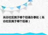 光谷社區(qū)屬于哪個(gè)街道辦事處（光谷社區(qū)屬于哪個(gè)街道）