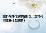 塑料姐妹花意思是什么（塑料花閨蜜是什么意思）