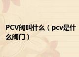 PCV閥叫什么（pcv是什么閥門）