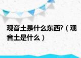 觀音土是什么東西?（觀音土是什么）