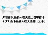 夕陽西下,斷腸人在天涯出自哪首詩（夕陽西下斷腸人在天涯是什么詩）