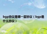 bgp協(xié)議是哪一層協(xié)議（bgp是什么協(xié)議）