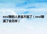 soul聊的人多就不能了（soul聊滿了會怎樣）