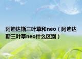 阿迪達(dá)斯三葉草和neo（阿迪達(dá)斯三葉草neo什么區(qū)別）