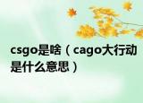 csgo是啥（cago大行動是什么意思）