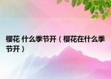 櫻花 什么季節(jié)開（櫻花在什么季節(jié)開）