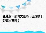 正處級干部算大官嗎（正廳級干部算大官嗎）