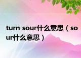 turn sour什么意思（sour什么意思）