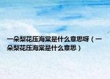 一朵梨花壓海棠是什么意思呀（一朵梨花壓海棠是什么意思）