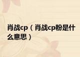 肖戰(zhàn)cp（肖戰(zhàn)cp粉是什么意思）