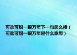 可鹽可甜一眼萬(wàn)年下一句怎么接（可鹽可甜一眼萬(wàn)年是什么意思）