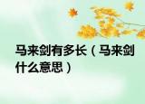 馬來(lái)劍有多長(zhǎng)（馬來(lái)劍什么意思）