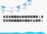 文言文揠苗助長的意思和寓意（文言文里的揠苗助長揠是什么意思）