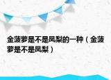 金菠蘿是不是鳳梨的一種（金菠蘿是不是鳳梨）