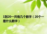 1到20一共有幾個(gè)數(shù)字（20個(gè)一是什么數(shù)字）