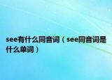 see有什么同音詞（see同音詞是什么單詞）