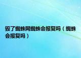 毀了蜘蛛網(wǎng)蜘蛛會(huì)報(bào)復(fù)嗎（蜘蛛會(huì)報(bào)復(fù)嗎）