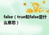 false（true和false是什么意思）