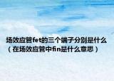 場效應管fet的三個端子分別是什么（在場效應管中fin是什么意思）