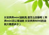 長安奔奔mini油耗高,是怎么回事呢（奔奔mini百公里油耗 長安奔奔MINI的油耗大概是多少）