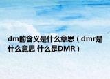 dm的含義是什么意思（dmr是什么意思 什么是DMR）