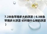 7.2米魚竿用多大的浮漂（6.3米魚竿用多大浮漂 長桿用什么樣的浮漂）