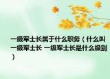 一級(jí)軍士長(zhǎng)屬于什么職務(wù)（什么叫一級(jí)軍士長(zhǎng) 一級(jí)軍士長(zhǎng)是什么級(jí)別）