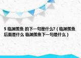 5 臨淵羨魚 的下一句是什么?（臨淵羨魚后面是什么 臨淵羨魚下一句是什么）