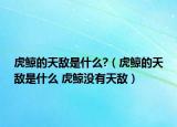 虎鯨的天敵是什么?（虎鯨的天敵是什么 虎鯨沒有天敵）