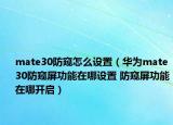 mate30防窺怎么設置（華為mate30防窺屏功能在哪設置 防窺屏功能在哪開啟）