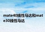 mate40線性馬達和mate30線性馬達