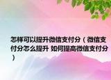 怎樣可以提升微信支付分（微信支付分怎么提升 如何提高微信支付分）