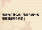 張掖市在什么?。◤堃丛谀膫€省 張掖縣是哪個省的）