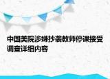 中國美院涉嫌抄襲教師停課接受調(diào)查詳細(xì)內(nèi)容